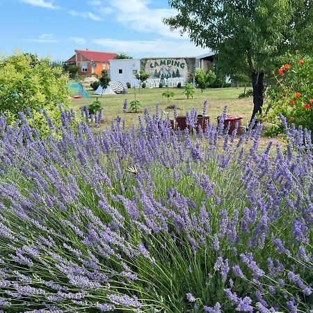 Camping Laste Hotel Smokovic Exterior photo